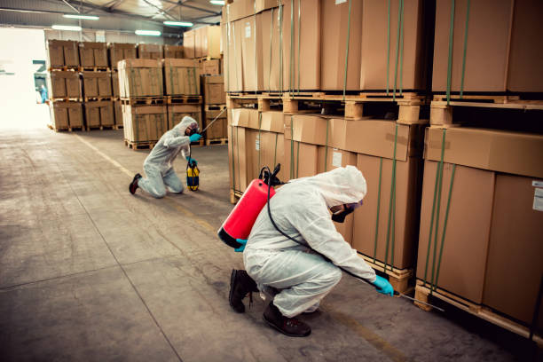 Best Pest Control for Businesses  in Boiling Springs, NC