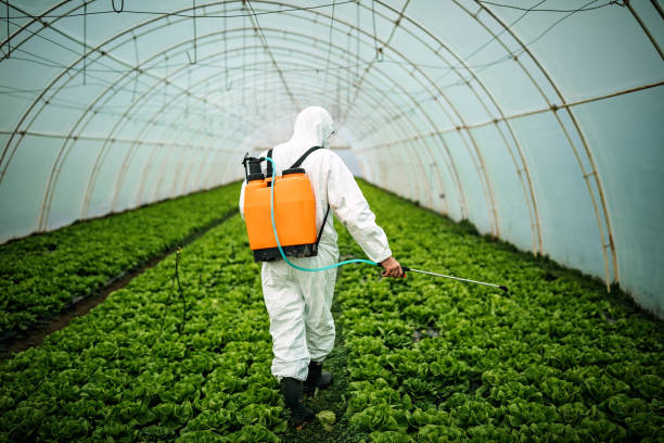 Professional Pest Control in Boiling Springs, NC