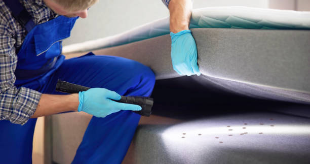 Best Local Pest Control Services  in Boiling Springs, NC