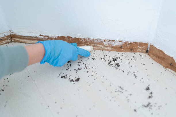 Best Pest Prevention Services  in Boiling Springs, NC