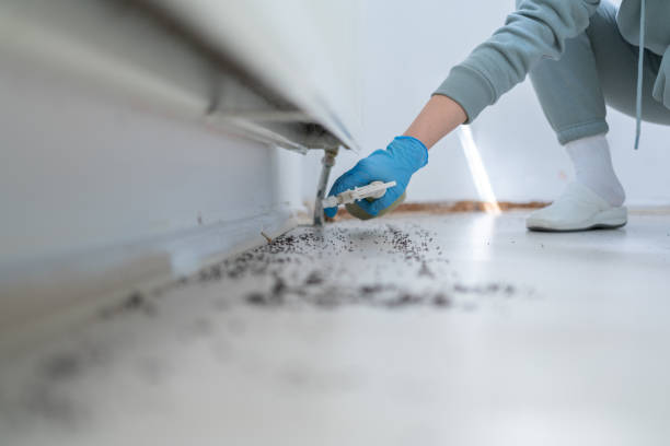 Best Rodent Control Near Me  in Boiling Springs, NC