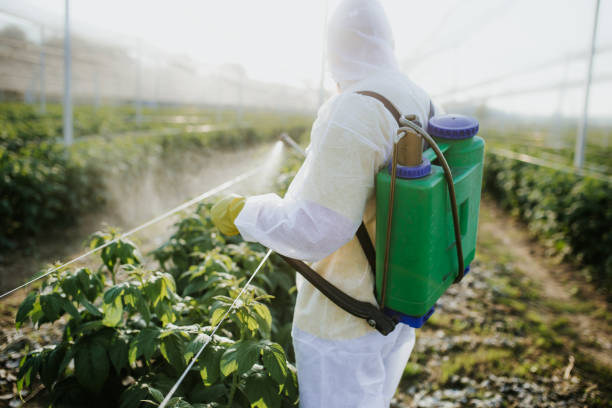 Best Bed Bug Extermination  in Boiling Springs, NC